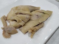 万岁清仁鸡-万年酒楼(越秀南路店)