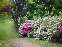 -上海滨江森林公园