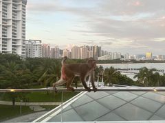 -JW万豪厨房餐厅·滨海草坪烧烤·海鲜·海景(三亚绿发山海天JW万豪酒店)