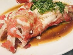 -陶陶居海鲜酒家(新马路店)