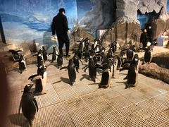 -成都浩海立方海洋公园