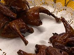 -百利鸽王(紫薇路店)