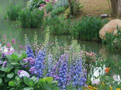 -人民公园(罗湖区)