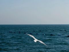 -北戴河碧螺塔海上酒吧公园