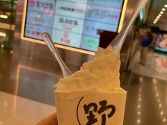 -野人先生现做冰淇淋(北京王府井东方新天地店)