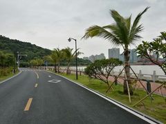 -野狸岛