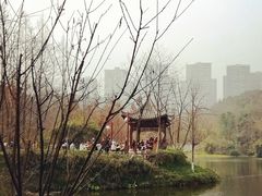 -重庆彩云湖湿地公园