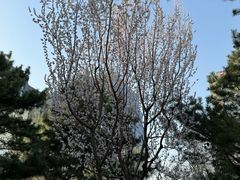 -团结湖公园