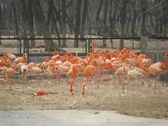 -秦皇岛野生动物园