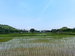 -艾米稻香小镇