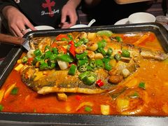 海鲈鱼-炉鱼(诸暨万风新天地店)