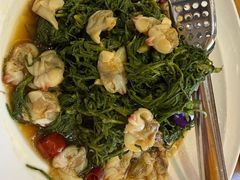 扇贝拌皇须菜-村长家的疙瘩汤·东营菜(东营茶城店)