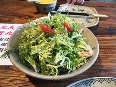 凉拌苦菊-呱呱叫民俗风味主题餐厅(沣峪口店)