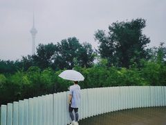 -中国宋庆龄青少年科技文化交流中心