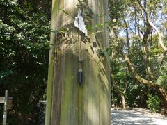-热田神宫
