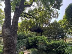 -上海醉白池公园