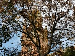 -上海佘山国家森林公园西佘山园