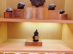 -大益茶庭(勐海会员中心店)