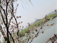 -北坞公园