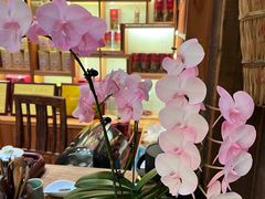 -茶肆(仙林店)