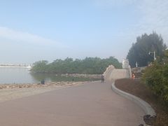 -宝安西湾红树林湿地公园