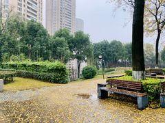 -重庆市江北嘴中央商务区中央公园