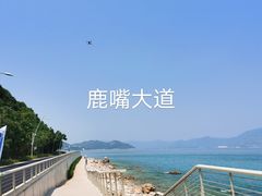 -杨梅坑