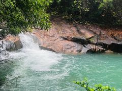 -广州白江湖森林公园