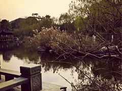 iphone_upload_pic-日出青木·杭帮菜名店