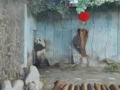 -海南热带野生动植物园