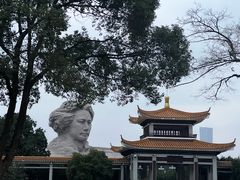 -橘子洲景区