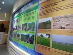 -亿利库布其七星湖沙漠生态旅游区