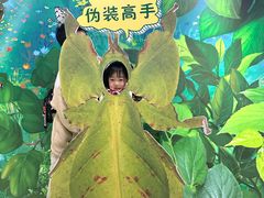 -上海昆虫博物馆