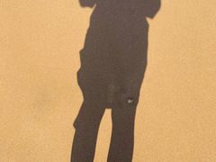 -大王村沙滩
