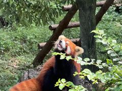 -柳州市动物园
