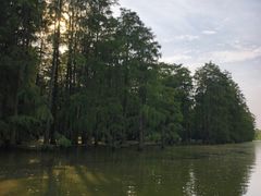 -池杉湖湿地公园