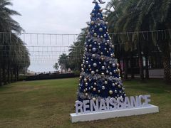 -三亚海棠湾万丽度假酒店