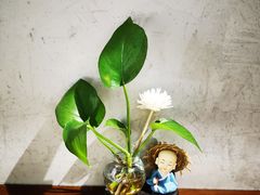 -万县面馆(高笋塘店)