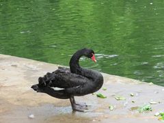 -广东茂名森林公园