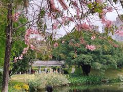 -四海公园(南山区)