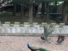 -南京金牛湖风景区