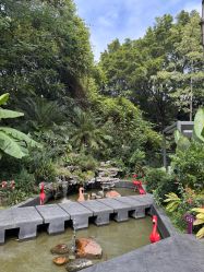 点击看大图 -宝生月子中心(独栋园林·福田店)