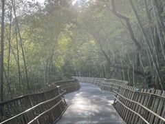 -福道