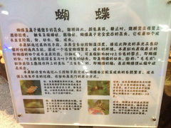 5.4-上海大自然野生昆虫馆