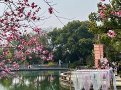 -无锡蠡湖国家湿地公园-蠡园
