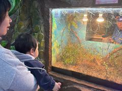 -上海大自然野生昆虫馆(东方明珠·爬宠昆虫探索中心)
