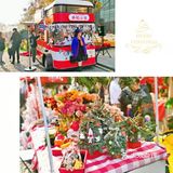 圣诞季🎄来外滩抱一下！