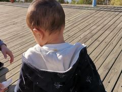 -长白岛森林公园