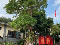 -云顶山庄·粤菜·农家菜(共和店)