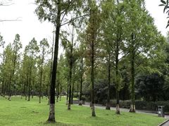 -成都南湖公园